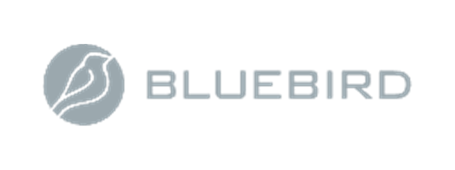Bluebird